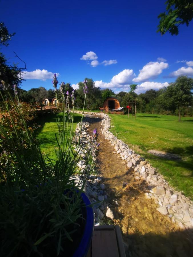 Camping Les Pres Du Roi Sommières المظهر الخارجي الصورة
